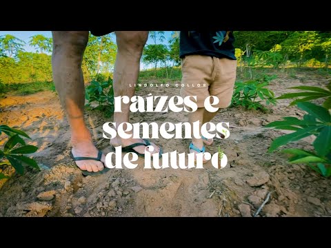 DOCUMENTÁRIO: "Lindolfo Collor: Raízes e Sementes do Futuro"