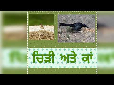 Tejinder Kaur Punjabi Kid...