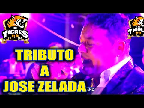 Tributo a Jose Zelada - El Perfume/Perdido por Ti - Los Tigres De La Cumbia