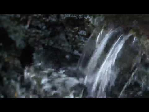 Zabrel staff meet 2016