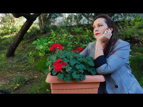 Fotografja franceze- Natasha Lester - Vitrina e librit, 12 Janar 2025