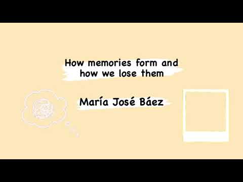 How memories form and how we lose them