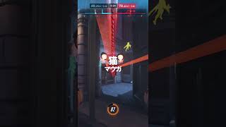 アンランとマウガの○○を組み合わせれば…【OW2】