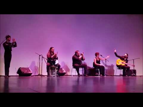 Vídeo Flamenco en Malaga 1