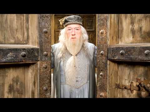 Dumbledore's Manipulation: Examining Intent and Impact in Harry Potter