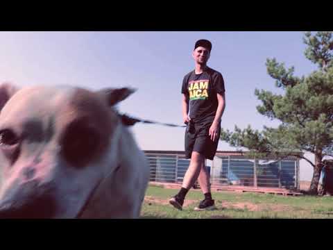 HERUŚ I PSIJACIELE - My Psijaciele (muz.M.X.L)