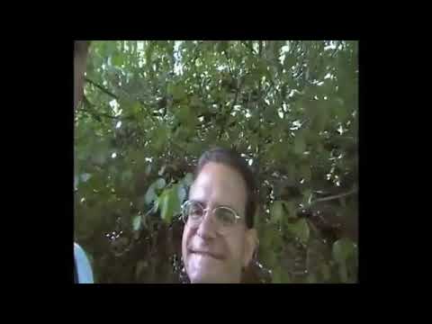 CASCATA DELL ACQUASANTA MATTEO LUCA GIONATA AGOSTO 2010