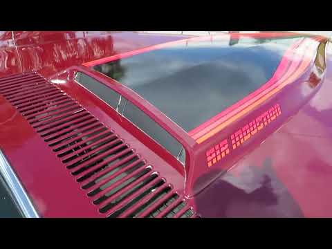 1981 Chevrolet Camaro Z28 (CC-2107828) for sale in APOPKA, Florida