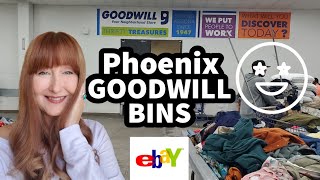 Thrifting The Phoenix Goodwill Bins | It's Like Digging For Gold !!!