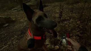 blair witch vr edition blair witch vr edition