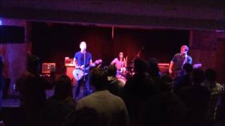 Bonzo Goes to Bitburg - The Ramones cover by Cherry Blossoms at Night