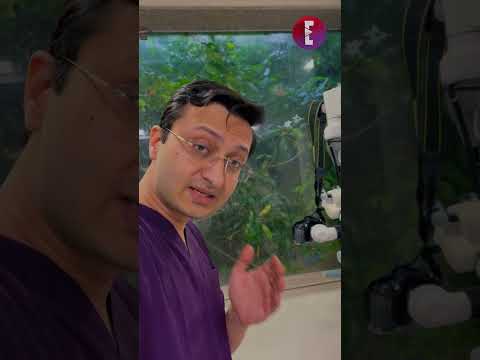 Do you take X rays before small restorations? | Dentistry | Dr. Agam Bhatnagar | EEeducation.in