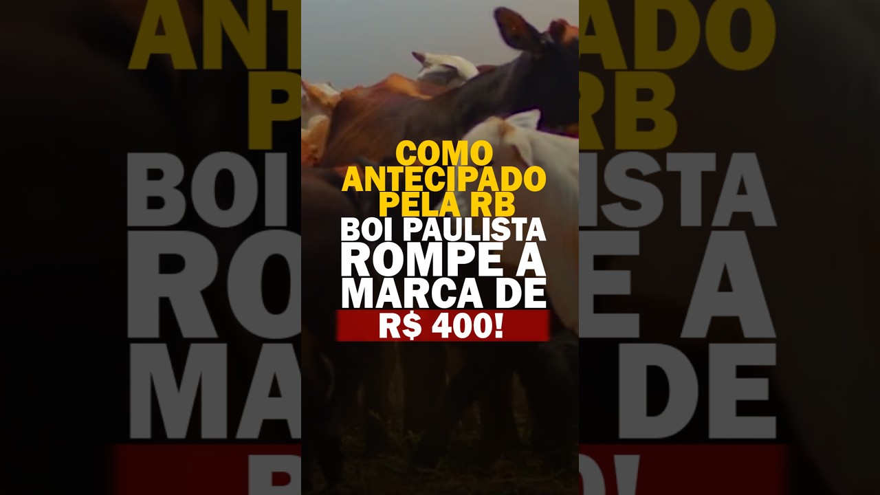 COMO ANTECIPADO PELA RB, BOI PAULISTA ROMPE A MARCA DE R$ 400!