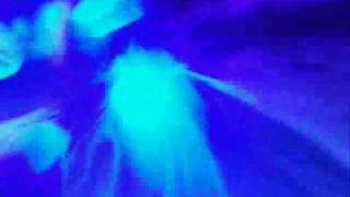 shaun groves - after the music fades