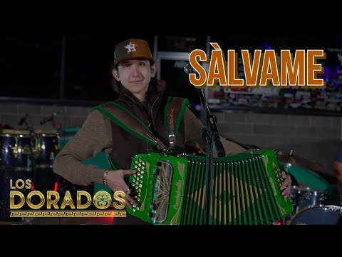Los Dorados - Sálvame (En Vivo)
