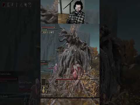 Elden Ring army vs boss