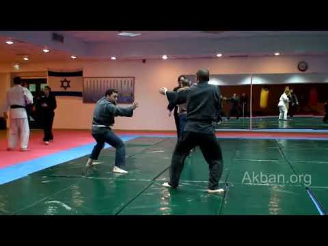 1.5 - KUKISHIN RYU TAI JUTSU - SHODEN NO KATA: Hosetsu