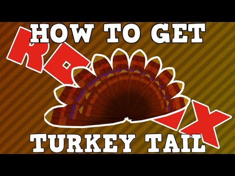 How to Get the Turkey Tail | Roblox Bloxgiving Event 2017