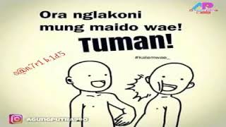 Download lagu Dubbing jawa lucu terbaru 2019 mp3 Download lagu Dubbing jawa lucu terbaru 2019 mp3