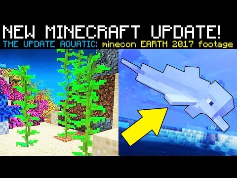 Minecon Earth Minecraft Aquatic Update Gameplay Dolphins 