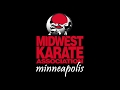 Shotokan Karate Concepts Transferring Energy With Sensei Michael Fusaro