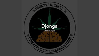 Olho De Tigre Lyrics English Translation