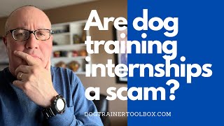Are Dog Training Apprenticeships A Scam