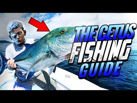 Warframe | How to Fish 🐟 plains of eidolon Fishing Guide