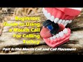 Beginners Guide To Using A Turkey Mouth Call Part 1