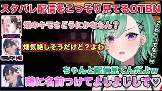 まったりスタバレ配信中に色々アドバイスを言ってくるOTBNに爆笑する八雲べにw【切り抜き/八雲べに/橘ひなの/一ノ瀬うるは/空澄セナ/ぶいすぽ/Stardew Valley】