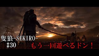【隻狼-SEKIRO: SHADOWS DIE TWICE-】第三十回　もう一回遊べるドン！
