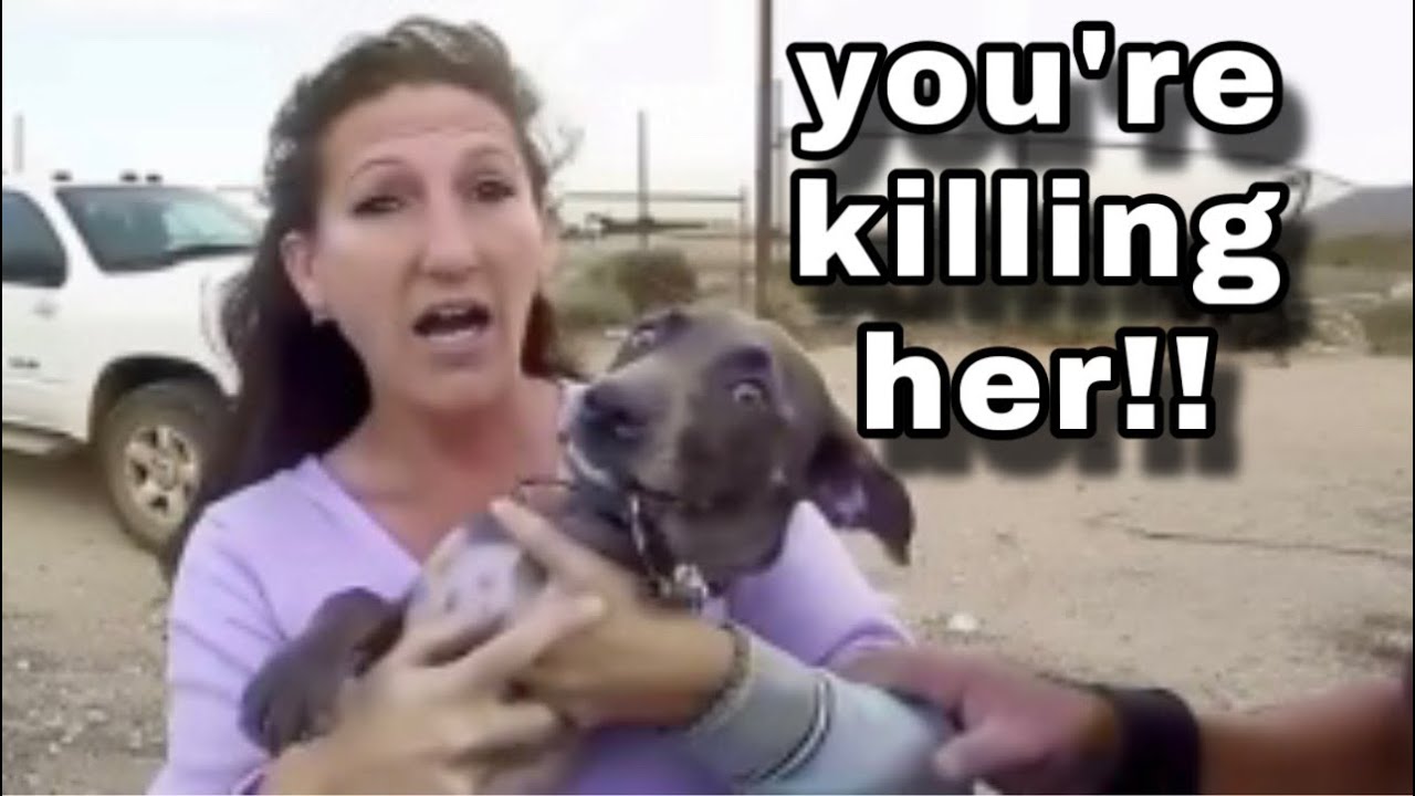 When Owners Realize Cops SHOOTlNG Their Pets