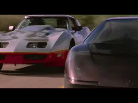 Lion - Never Surrender