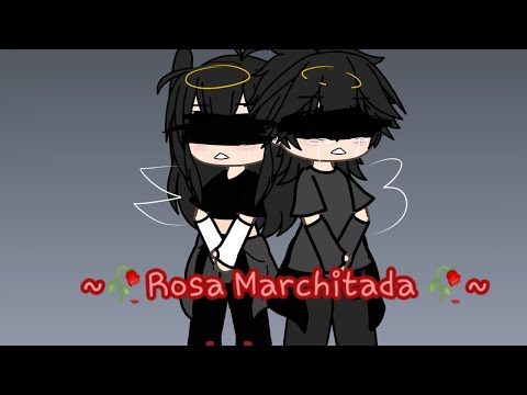 ||~🥀Rosa Marchitada🥀||canción original:@jaziel_oficial ||