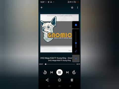 HGmega kidd EP loading