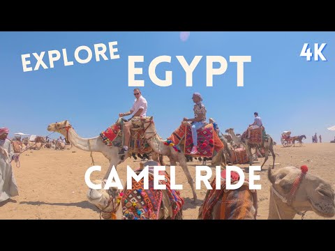 TRAVEL EGYPT: Desert Camel Ride Near the Pyramids (GoPro 4K)