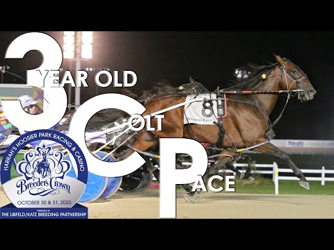 2020 Breeders Crown - Sandbetweenmytoes - 3CP