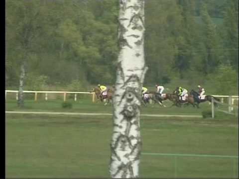 LL, 1. 5. 2017, 2. dostih - STEEPLECHASE NUTRIHORSE