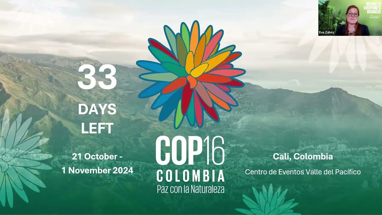 Webinar - Biodiversity COP16: How can businesses play an active role?