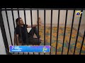Dao Episode 80 Promo | Tomorrow at 7:00 PM only on Har Pal Geo