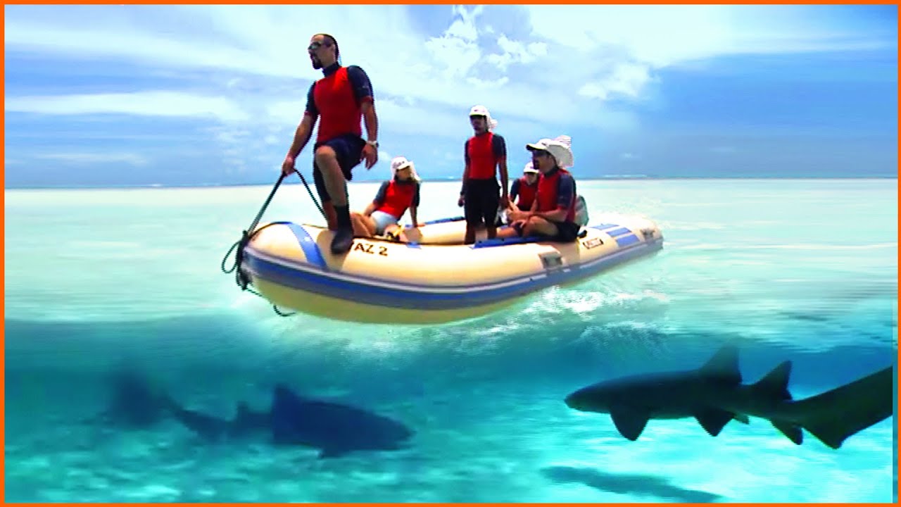 Atol das Rocas: O Atol Esquecido [Documentário Completo] Lawrence Wahba