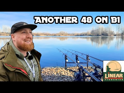 CARP FISHING At The MOST POPULAR Day Ticket Venue In The Country! LINEAR FISHERIES