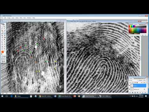 How to Compare Fingerprints - Examples 4-6