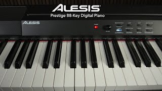 Video thumbnail for Alesis Prestige 88-Key Digital Piano Sound demo | Gear4music by Gear4music Guitars