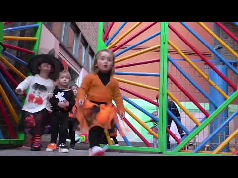 Vídeo Colegio Decroly