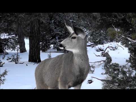 Hermit Road Drive in the Grand Canyon