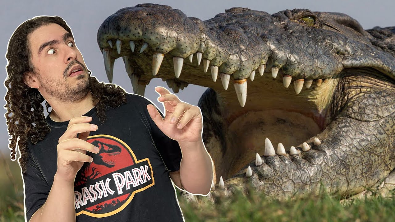 A História da Evolução dos CROCODYLIA (crocodilos) (#Pirula 352.2)