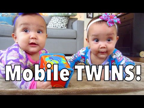 UH OH! They're MOBILE! - September 26, 2014 - itsjudyslife daily vlog