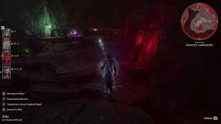 Baldur's Gate 3 - Resonance Stone reactions (act 2)