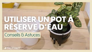 Utiliser un pot à réserve d'eau